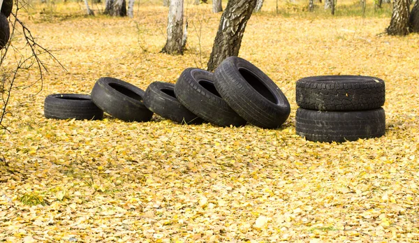在森林里的汽车轮胎 — 图库照片