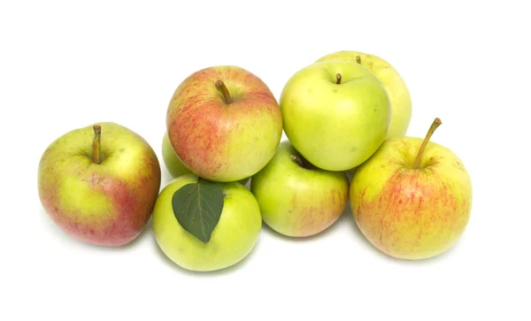 Olgun Sulu elmalar — Stok fotoğraf