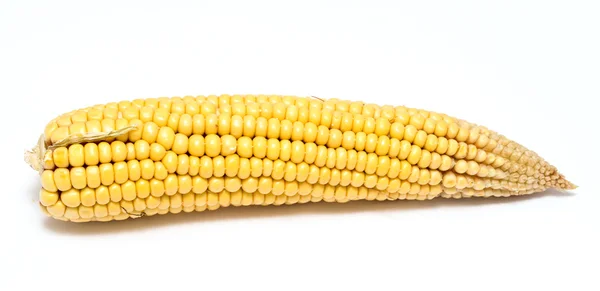 Corn cob — Stock Photo, Image