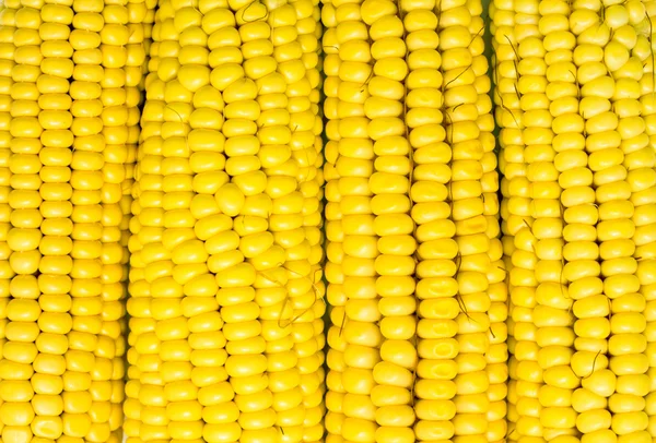 Corn seeds texture — Stock Photo, Image