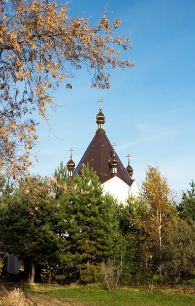 Landschaft mit orthodoxer Kirche — Stockfoto