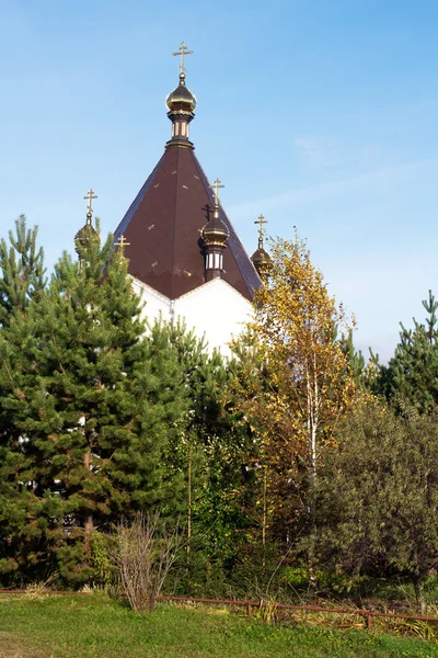 Landscape with Orthodox Church — Stock Photo, Image