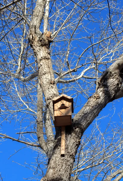 봄에서 빈 나무 둥지 상자 — 스톡 사진