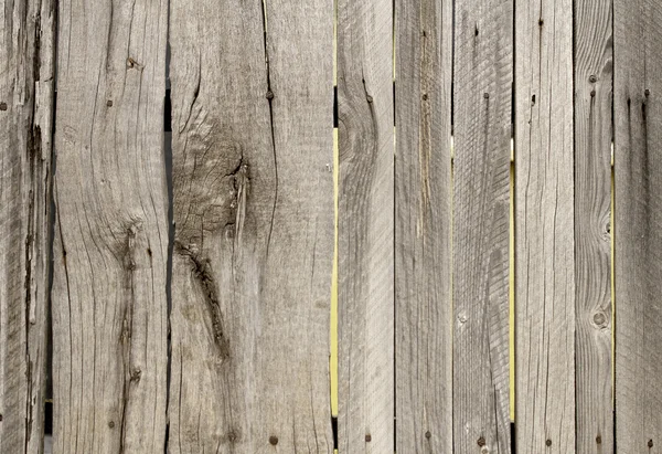 Old barn wood board — Stock Photo, Image