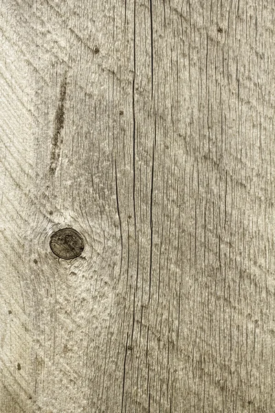 Old barn wood board — Stock Photo, Image