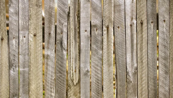 Old barn wood board — Stock Photo, Image