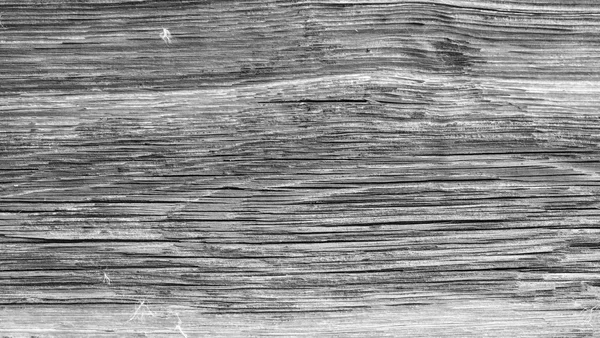 Old barn wood board — Stock Photo, Image