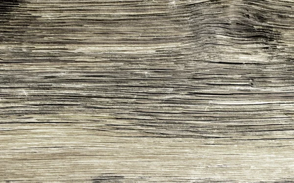 Old barn wood board — Stock Photo, Image