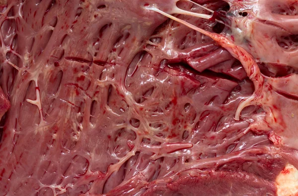 Serce mięsa — Zdjęcie stockowe