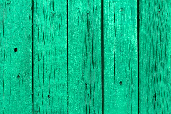 Texture du panneau de bois vert — Photo