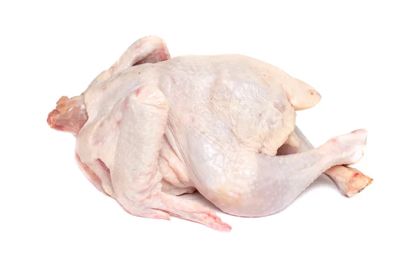 Fresh chicken — Stock Photo, Image