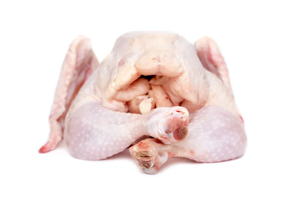 Friss csirke — Stock Fotó