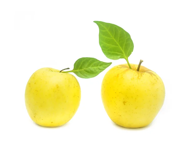 Gult äpple — Stockfoto