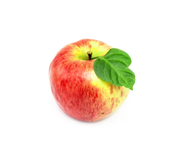 Червоне яблуко — стокове фото
