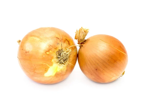 Onion — Stock Photo, Image