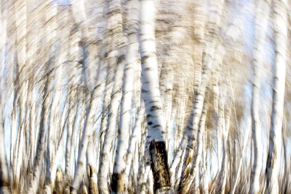 Natuur — Stockfoto