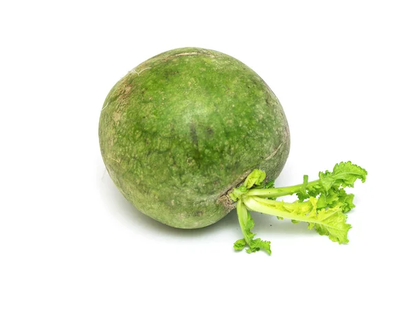 Groene radijs — Stockfoto