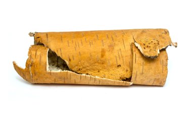 rulo birch'ın kabuğu yerleştirilmiştir