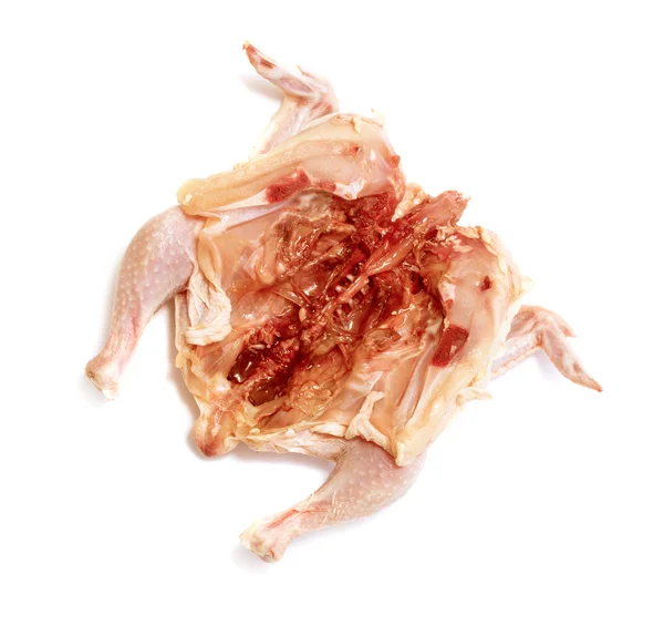 Carne de pollo pájaro sobre fondo blanco —  Fotos de Stock