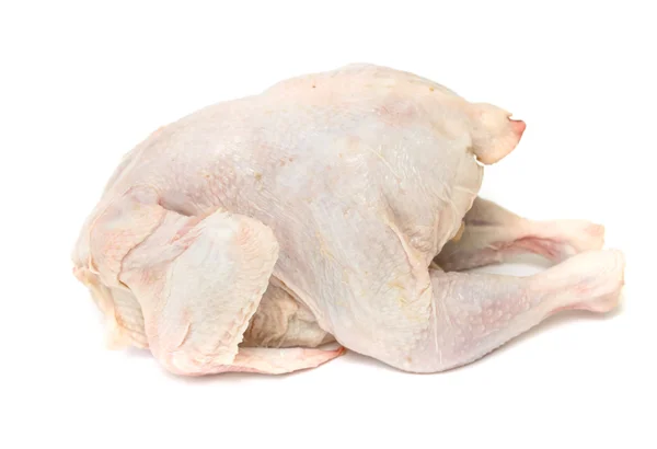 Oiseau viande de poulet sur fond blanc — Photo