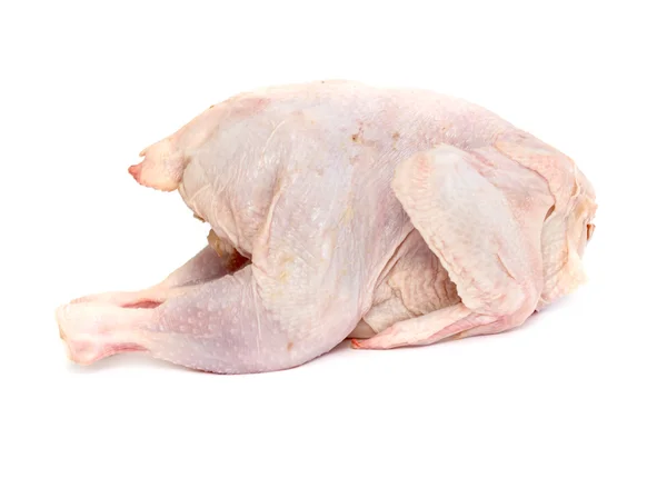 Oiseau viande de poulet sur fond blanc — Photo