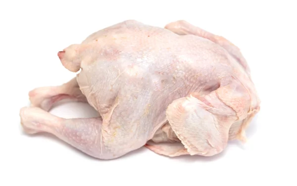 Carne de pollo pájaro sobre fondo blanco — Foto de Stock