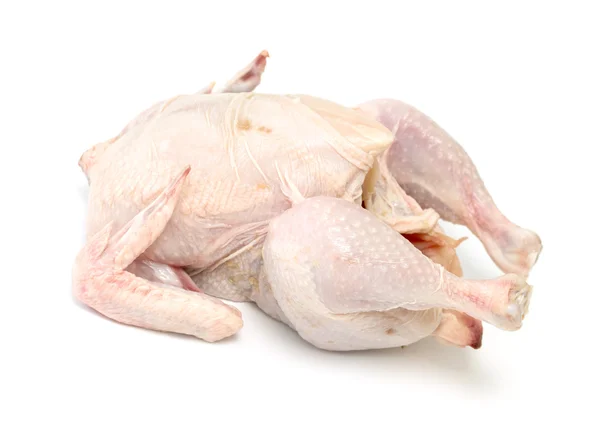 Oiseau viande de poulet sur fond blanc — Photo