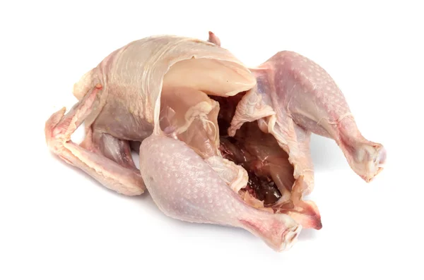 Fehér alapon Bird csirkehús — Stock Fotó