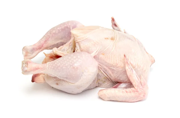 Oiseau viande de poulet sur fond blanc — Photo