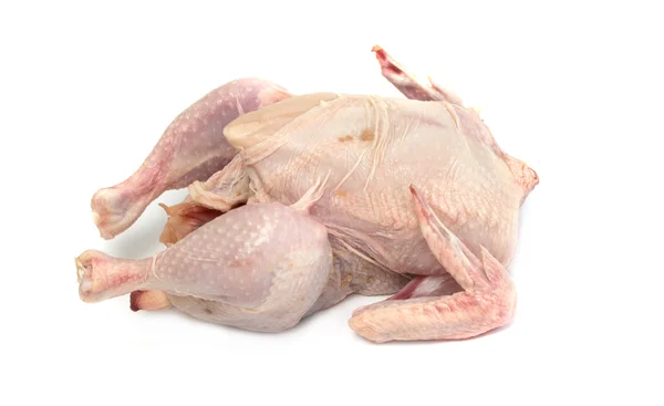 Carne de pollo pájaro sobre fondo blanco — Foto de Stock