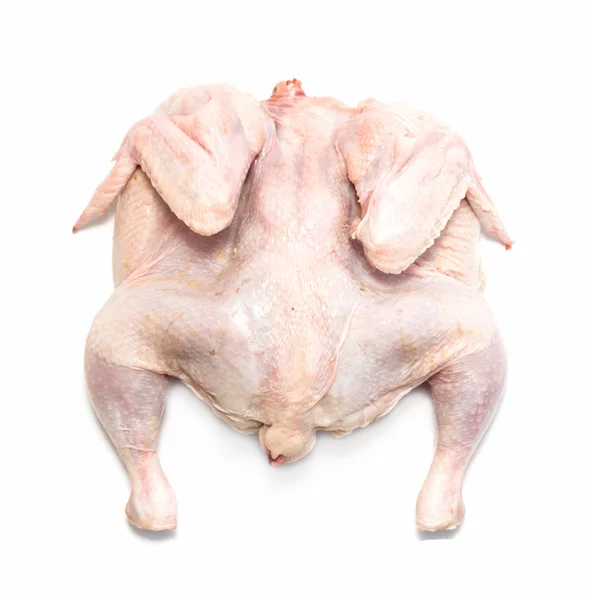 흰색 바탕에 새 닭 고기 — 스톡 사진