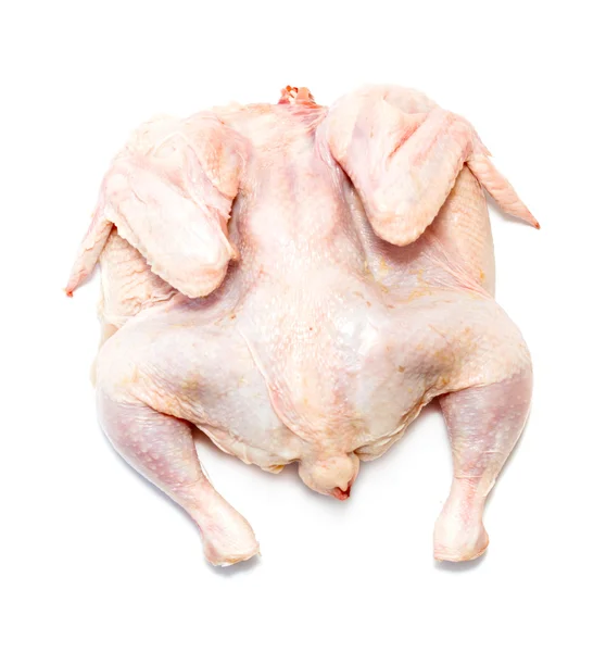 Птичье мясо курицы на белом фоне — стоковое фото