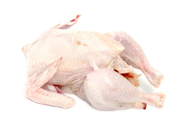Vogel kippenvlees — Zdjęcie stockowe