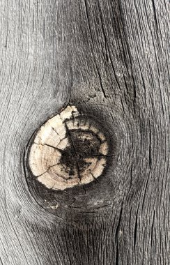 Grunge ahşap arka plan