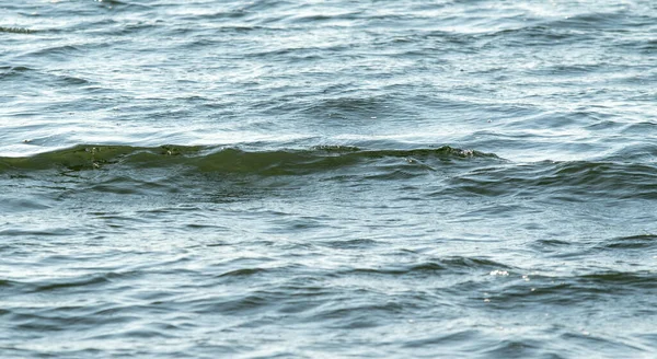 Морской Синий Фон Волнами — стоковое фото