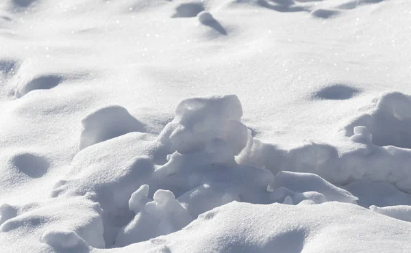 Bare Torra Grenar Vit Snö Vinternatur — Stockfoto