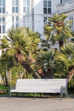 Spa parkındaki ahşap bank, güneşli gün doğası..