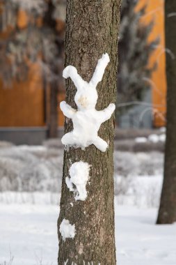 Parkta kışın bir ağaçta tavşan.