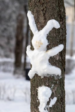Parkta kışın bir ağaçta tavşan.