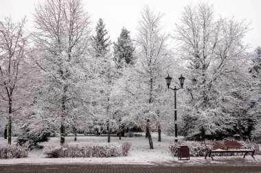 Manzara parkı, kardaki ahşap bank..