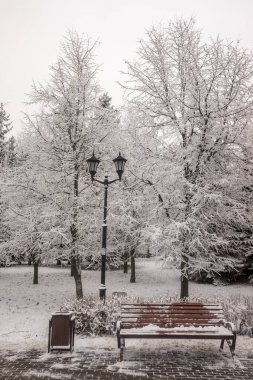 Manzara parkı, kardaki ahşap bank..