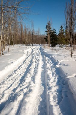 Karda yol, kış manzarası.