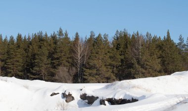 Beyaz kar, orman ve mavi gökyüzü. Kış manzarası.