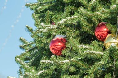 Noel ağacı arkaplanı. Noel ağacı için yuvarlak toplar.