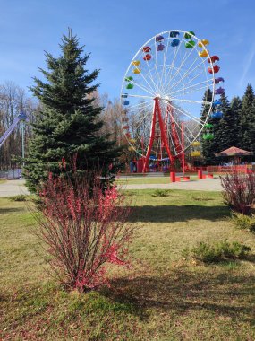 Moskova, Rusya - 15 Ağustos 2021: Büyük dönme dolap, parkta eğlence. Rusya Moskova.