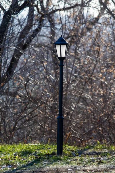 Decorative Lamp Park Nature — Stock Photo, Image