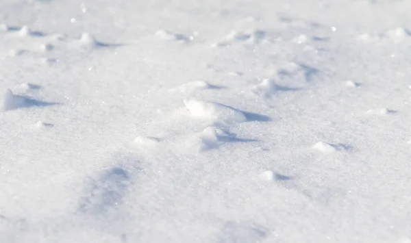 Schnee Eis Schneesturm Verschneiter Hintergrund — Stockfoto