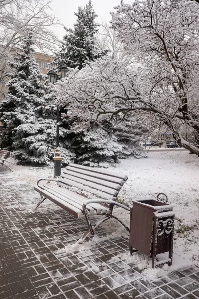 Paysage Parc Hiver Banc Bois Dans Neige — Photo