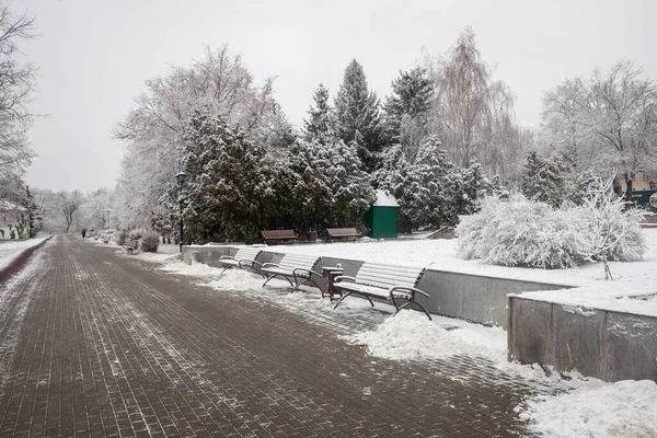 Parque Invierno Paisaje Banco Madera Nieve —  Fotos de Stock