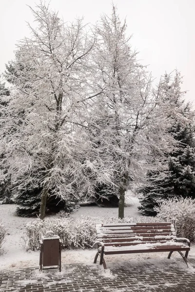 Landskap Vinterpark Träbänk Snön — Stockfoto